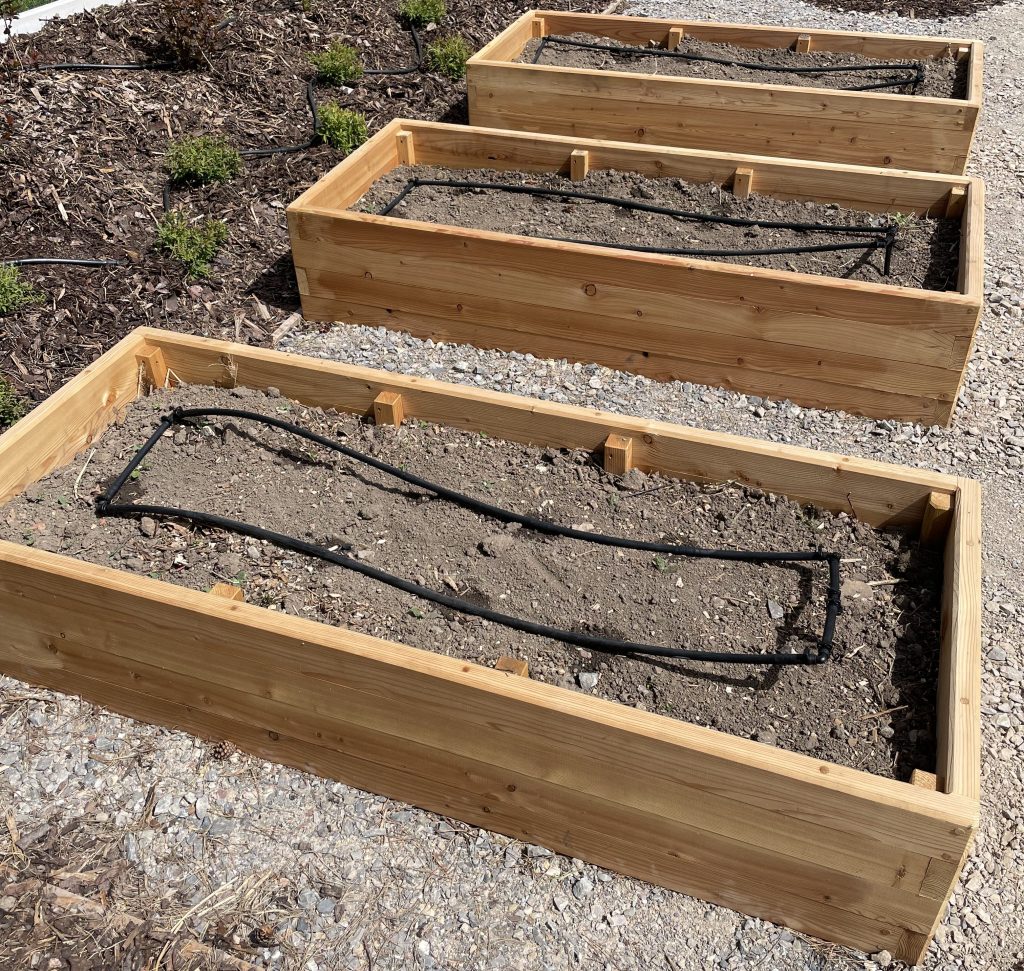 Instalace kapkovacího potrubí do&nbsp;záhonů