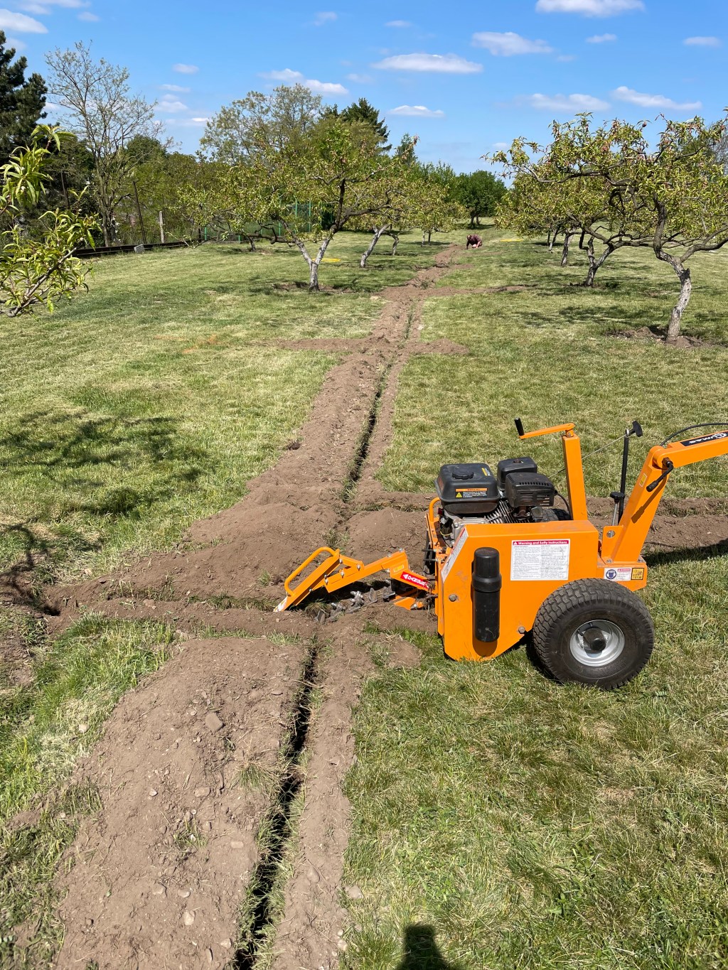 Kapková závlaha sadu –&nbsp;Kleneč