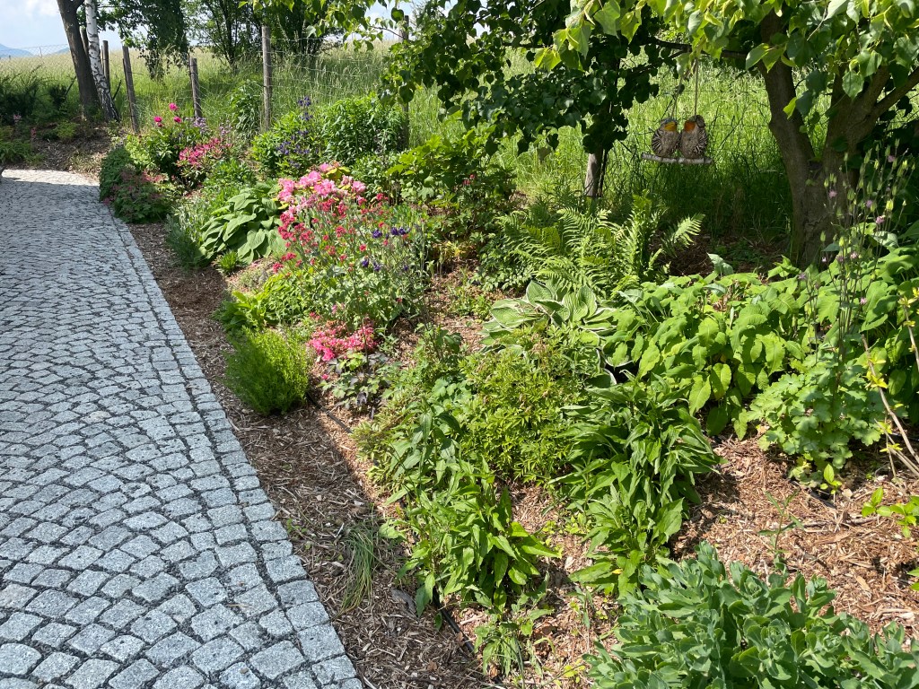 Závlaha záhonů s ovládáním přes WiFi – Svojkov u České&nbsp;Lípy